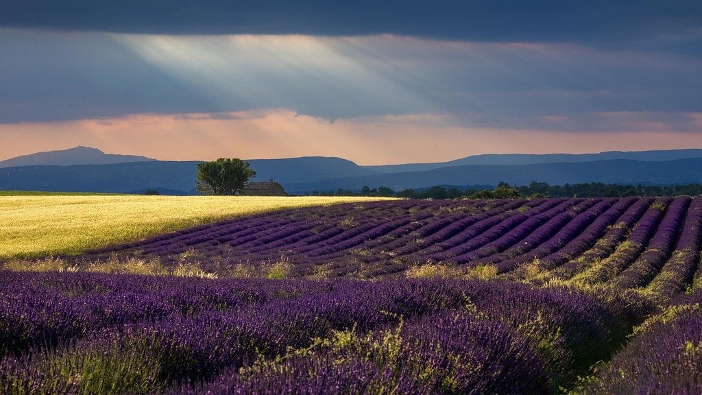 Festivals en Provence : Célébrations culturelles et artistiques