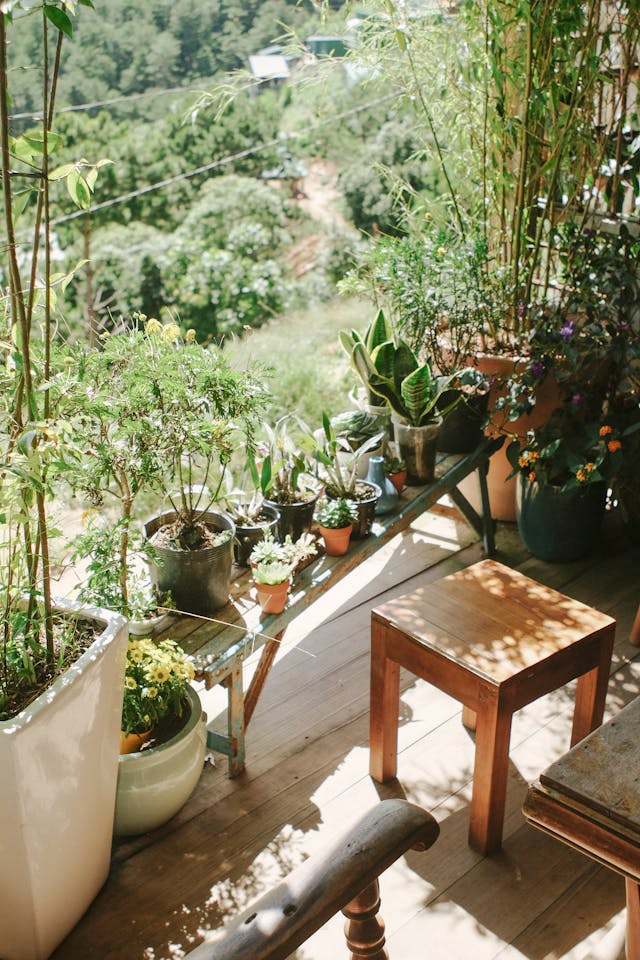 Aménagement d'un petit jardin